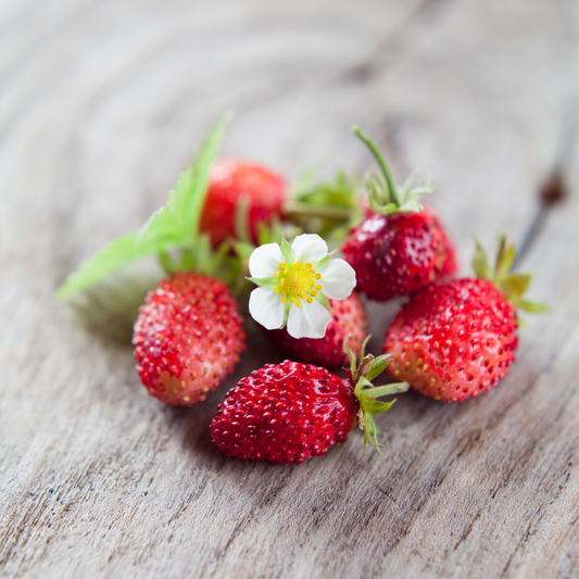 Lush wild strawberries fresh from the garden, vibrant and ripe. HarvestNest Seeds