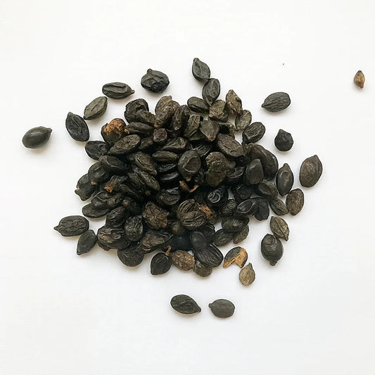 5 Dark Purple Hydrangea Seeds | Hardy Perennial Garden Shrub