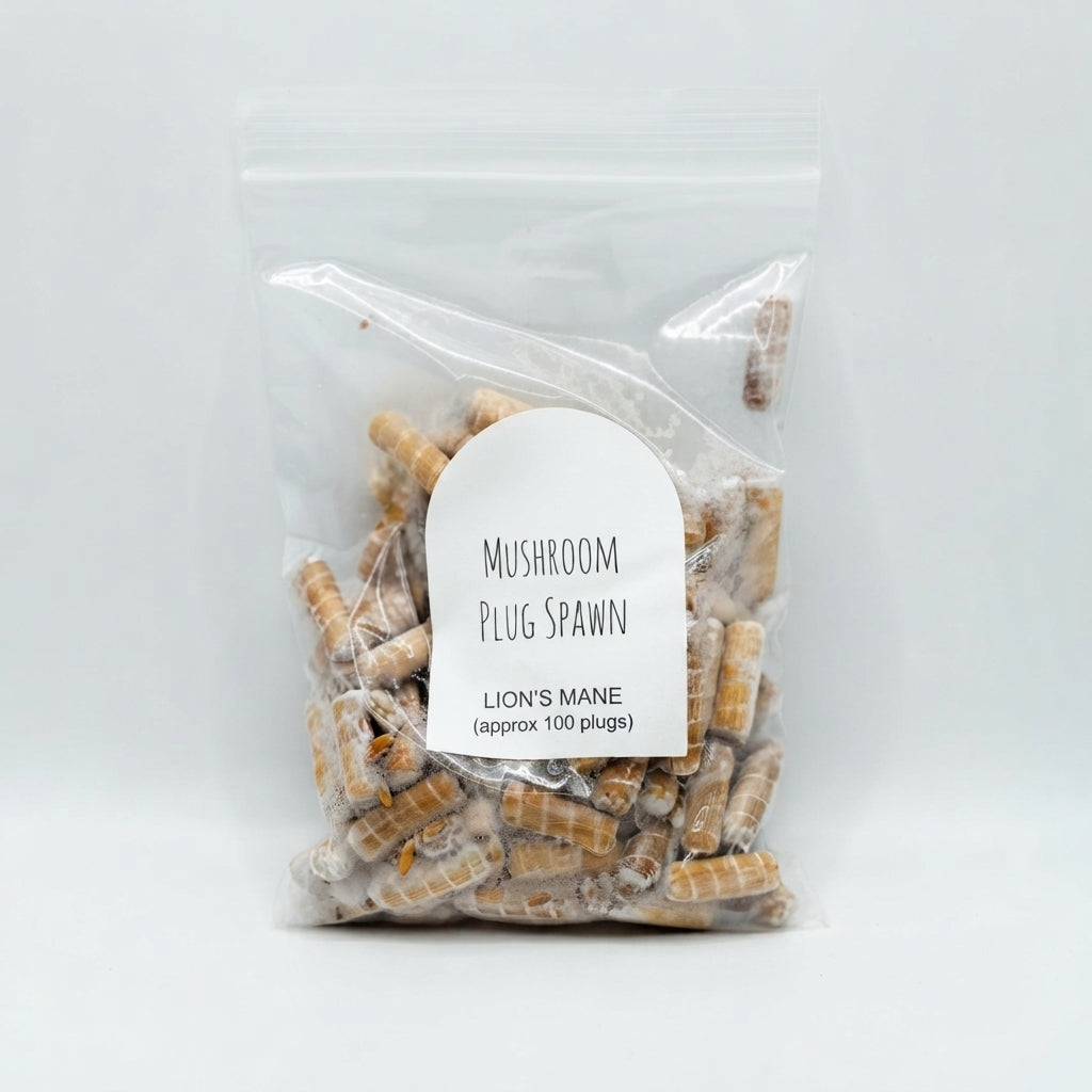 Lion’s Mane Mushroom Plug Spawn – Approx. 100 Wooden Dowels Inoculated with Lion’s Mane Mushroom Mycelium for Log Growing. HarvestNest Seeds