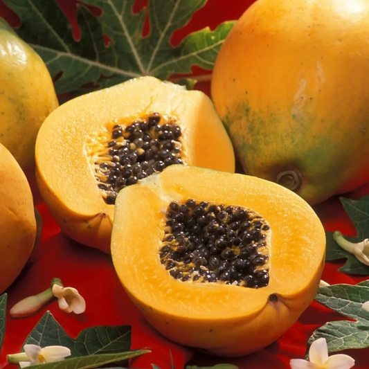25 Original Solo Sunset Papaya Seeds – Sweet Dwarf Tropical Papaya