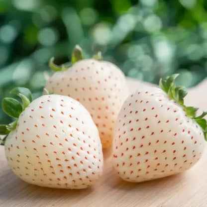 100 White Soul Strawberry - Fragaria Vesca Seeds - HarvestNest Seeds
