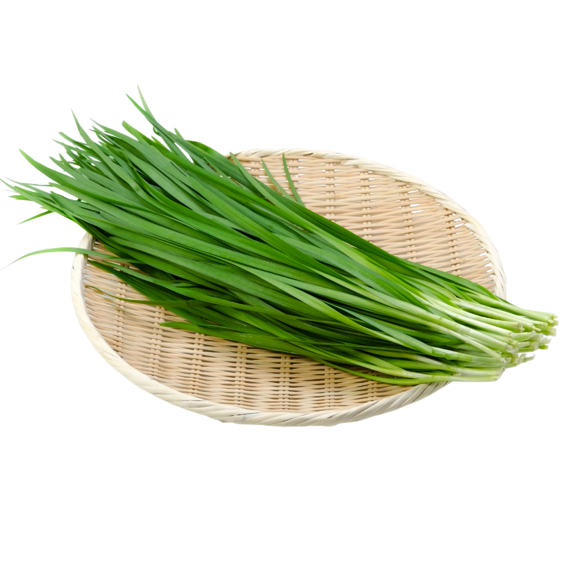 100 Garlic Chives Seeds | NON-GMO