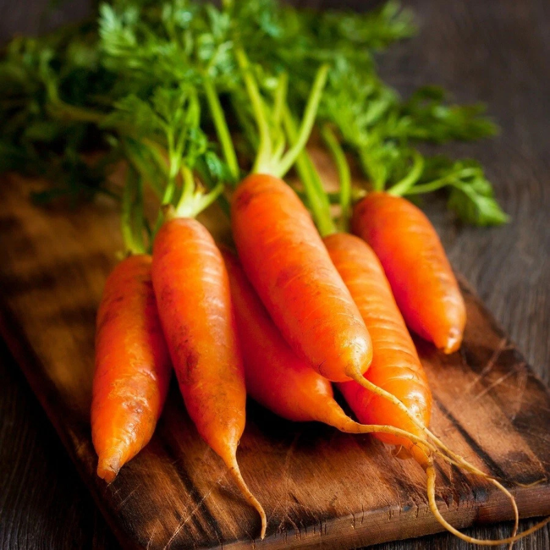 150 Little Finger Carrot Seeds | Heirloom | Non-GMO