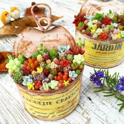 Decorative container with colorful succulents and a vintage-style label on a wooden surface. HarvestNest Seeds