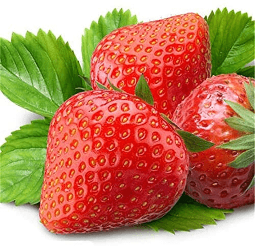 250 Red Climbing Strawberry Seeds - HarvestNest Seeds