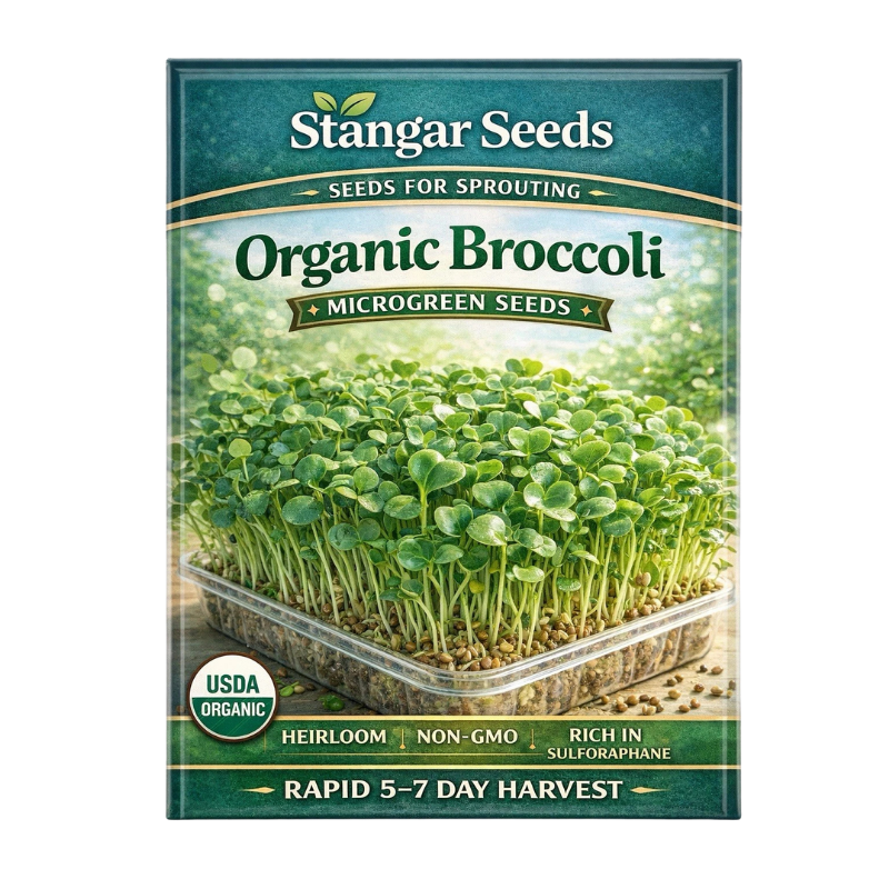 3800 Organic Broccoli Sprout Microgreens Seeds – 10g