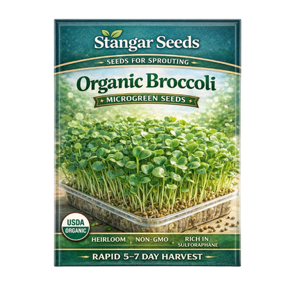 3800 Organic Broccoli Sprout Microgreens Seeds – 10g