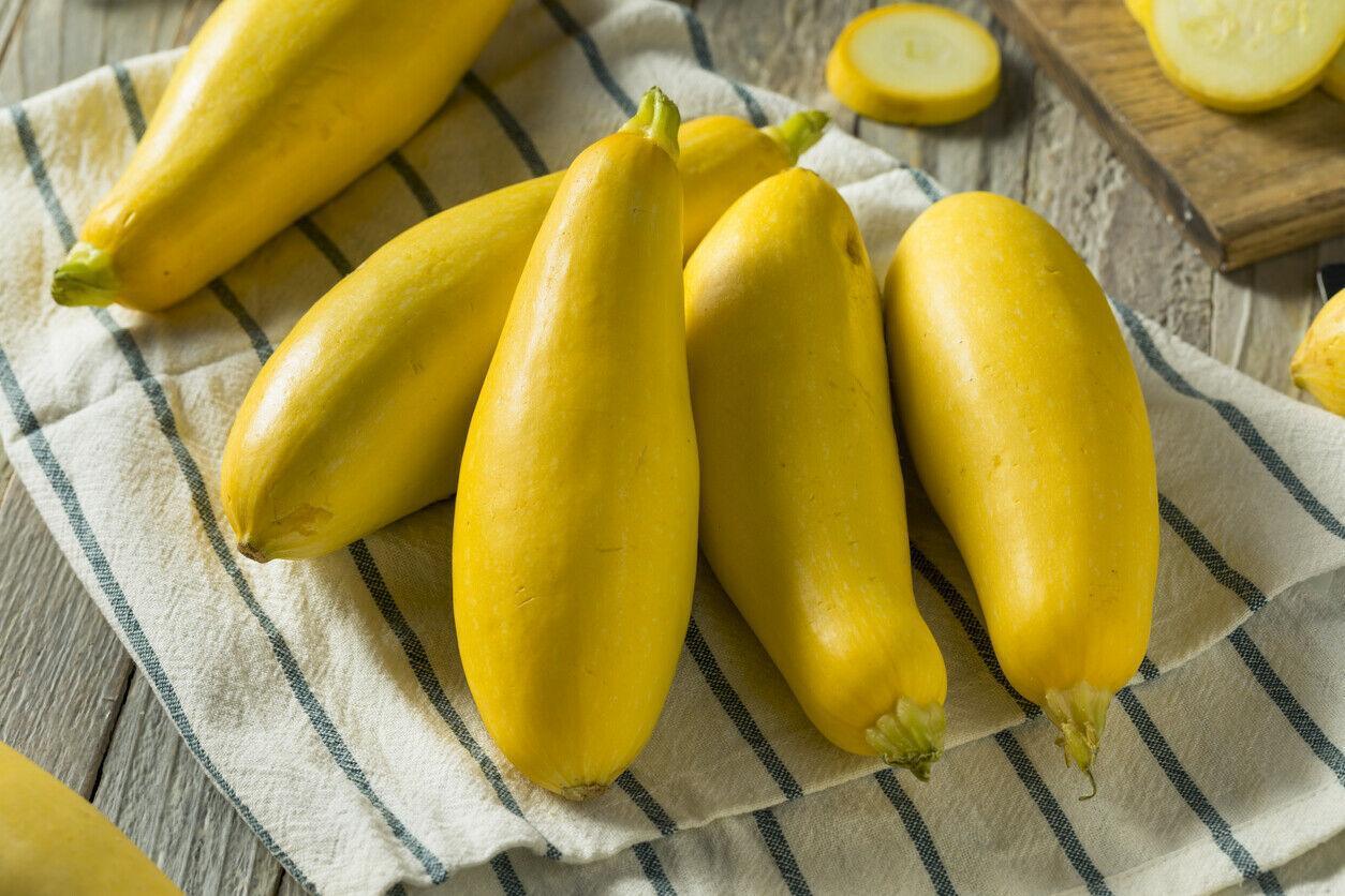 Species Mix Summer Squash Seeds - HarvestNest Seeds