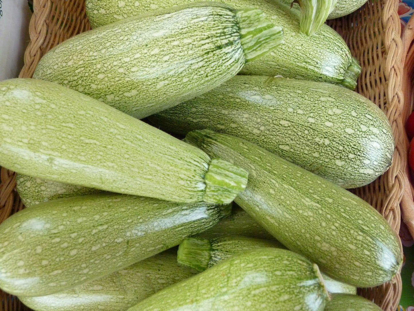 Species Mix Summer Squash Seeds - HarvestNest Seeds