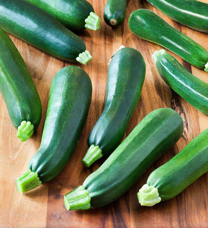 Species Mix Summer Squash Seeds - HarvestNest Seeds