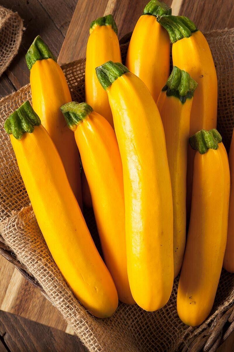 Species Mix Summer Squash Seeds - HarvestNest Seeds