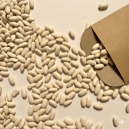 Blue Lake Stringless Pole Bean seeds beside a kraft seed packet for productive home vegetable gardening. HarvestNest Seeds