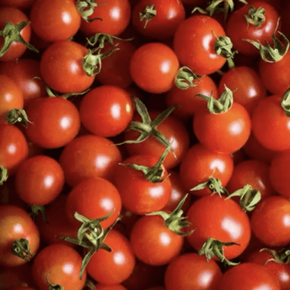 Close-up of a pile of red cherry tomatoes with green stems - HarvestNest Seeds