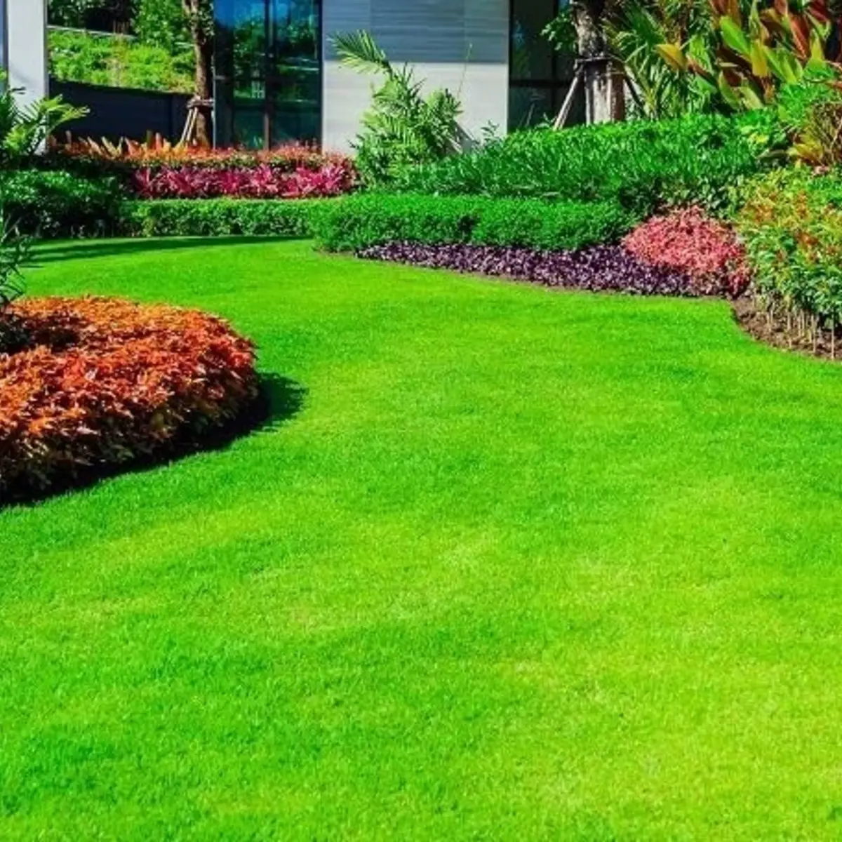 Lush green lawn with colorful flower beds in a garden setting. HarvestNest Seeds