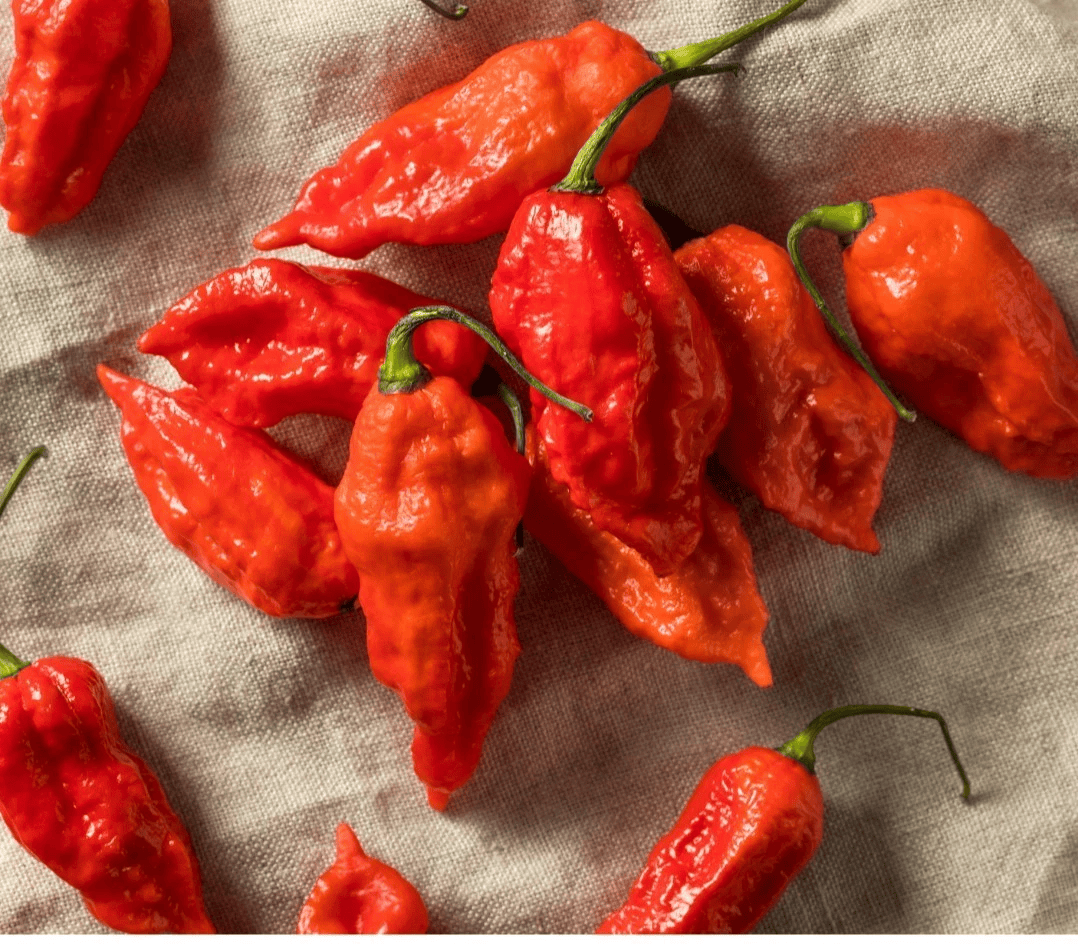 Ghost Pepper Seeds – Bhut Jolokia Super Hot Chili