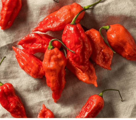Ghost Pepper Seeds – Bhut Jolokia Super Hot Chili