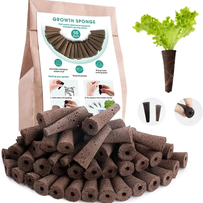 Growth sponge packaging with sponges and a plant example on a white background - HarvestNest Seeds