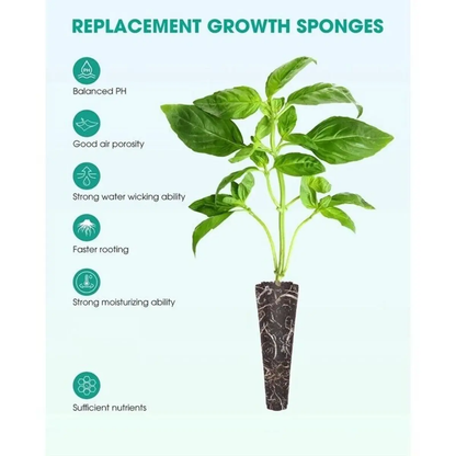Plant with replacement growth sponges and their benefits listed on a light blue background - HarvestNest Seeds