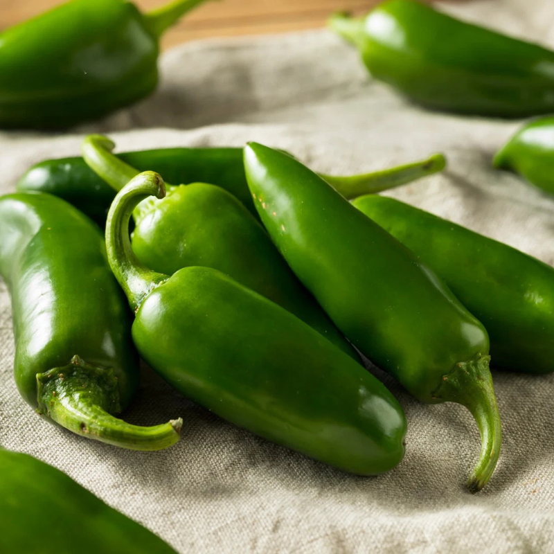 Hot Jalapeno Chilli Pepper Seeds