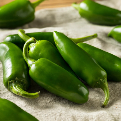 Hot Jalapeno Chilli Pepper Seeds