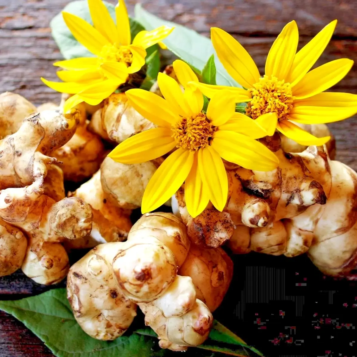 Turmeric root with yellow flowers on a wooden surface - HarvestNest Seeds