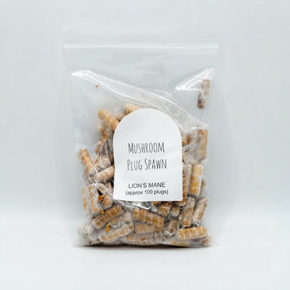 Lion’s Mane Mushroom Plug Spawn – Approx. 100 Wooden Dowels Inoculated with Lion’s Mane Mushroom Mycelium for Log Growing. HarvestNest Seeds