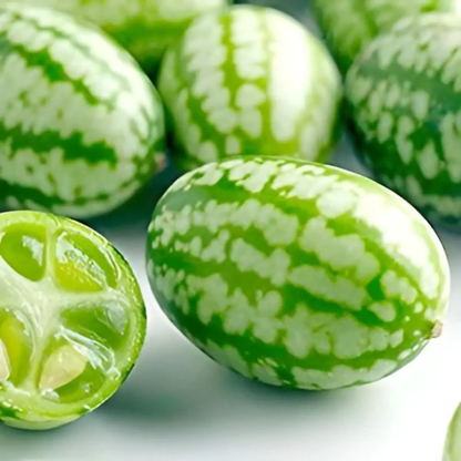 50 Mexican Sour Gherkin Cucumber Seeds (Cucamelon / Mouse Melon)