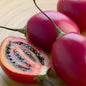 10-60 Tamarillo (Tree Tomato) Seeds – Cyphomandra betacea