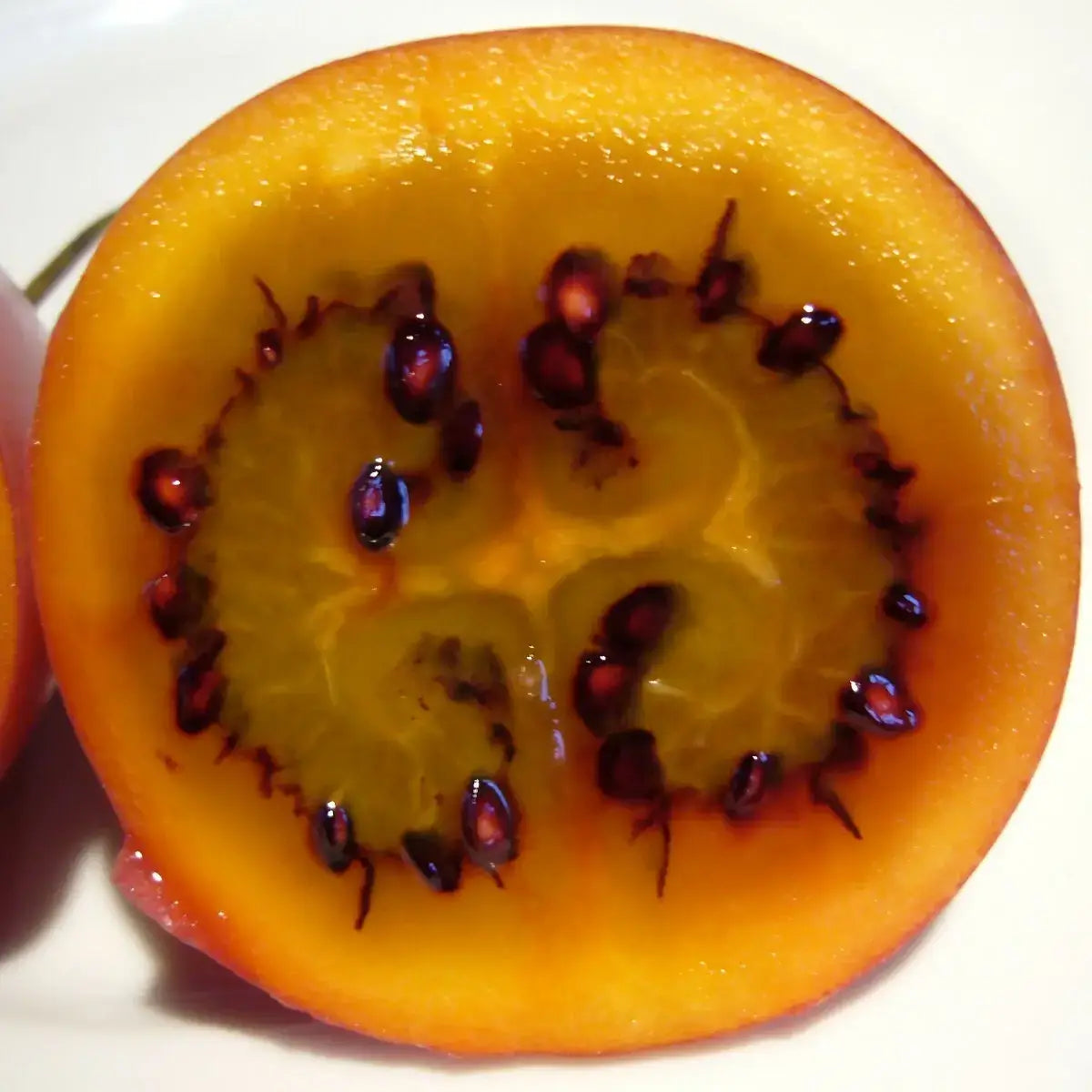 10-60 Tamarillo (Tree Tomato) Seeds – Cyphomandra betacea