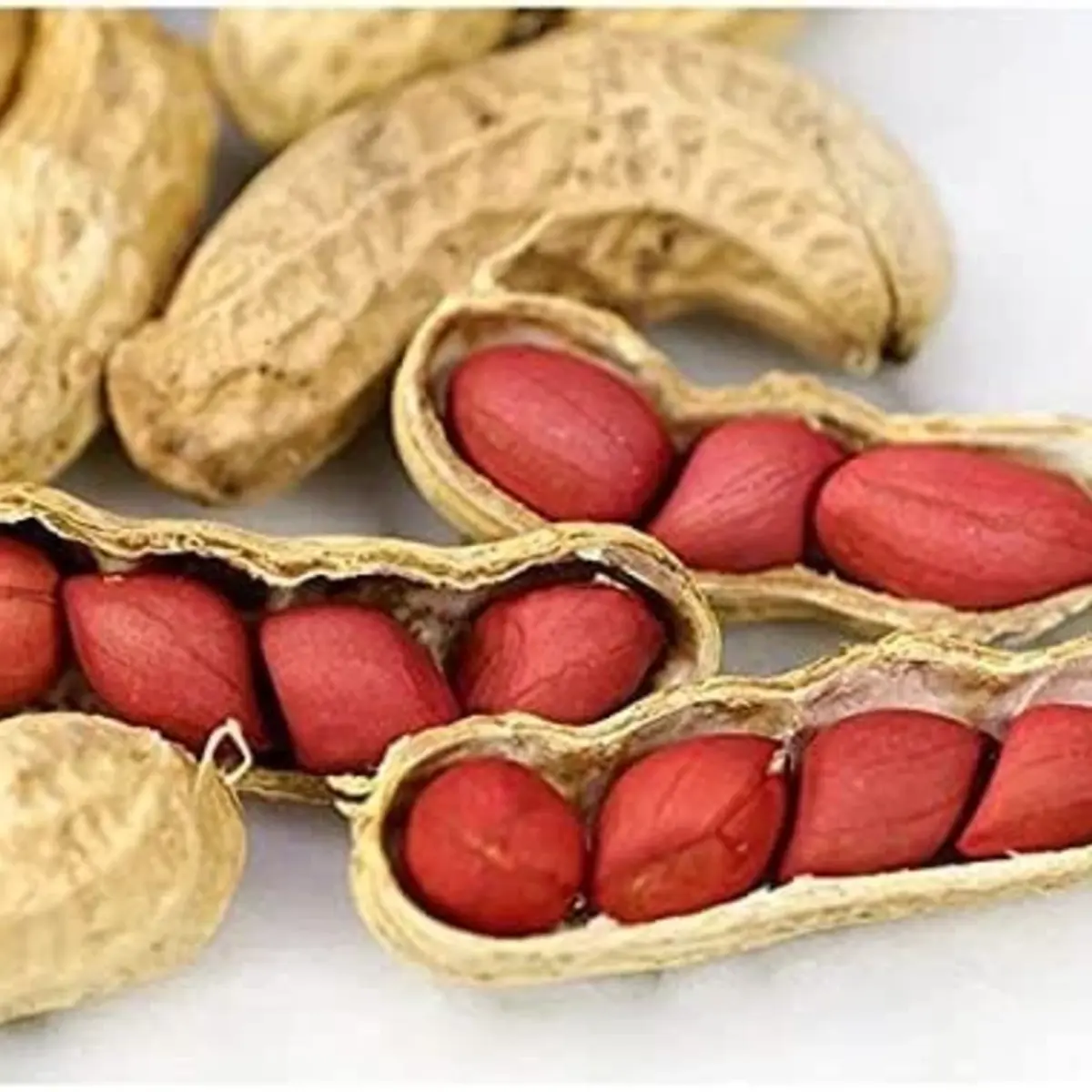 Peanuts with one open showing red kernels on a white background - HarvestNest Seeds