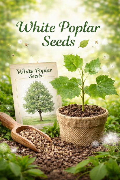White Poplar Seeds packaging with a growing plant HarvestNest Seeds