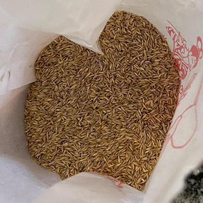 Heart-shaped object filled with small brown seeds on a white background - HarvestNest Seeds