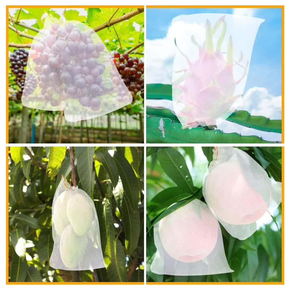 Fruit Protection Net Bags with Drawstring - HarvestNest Seeds