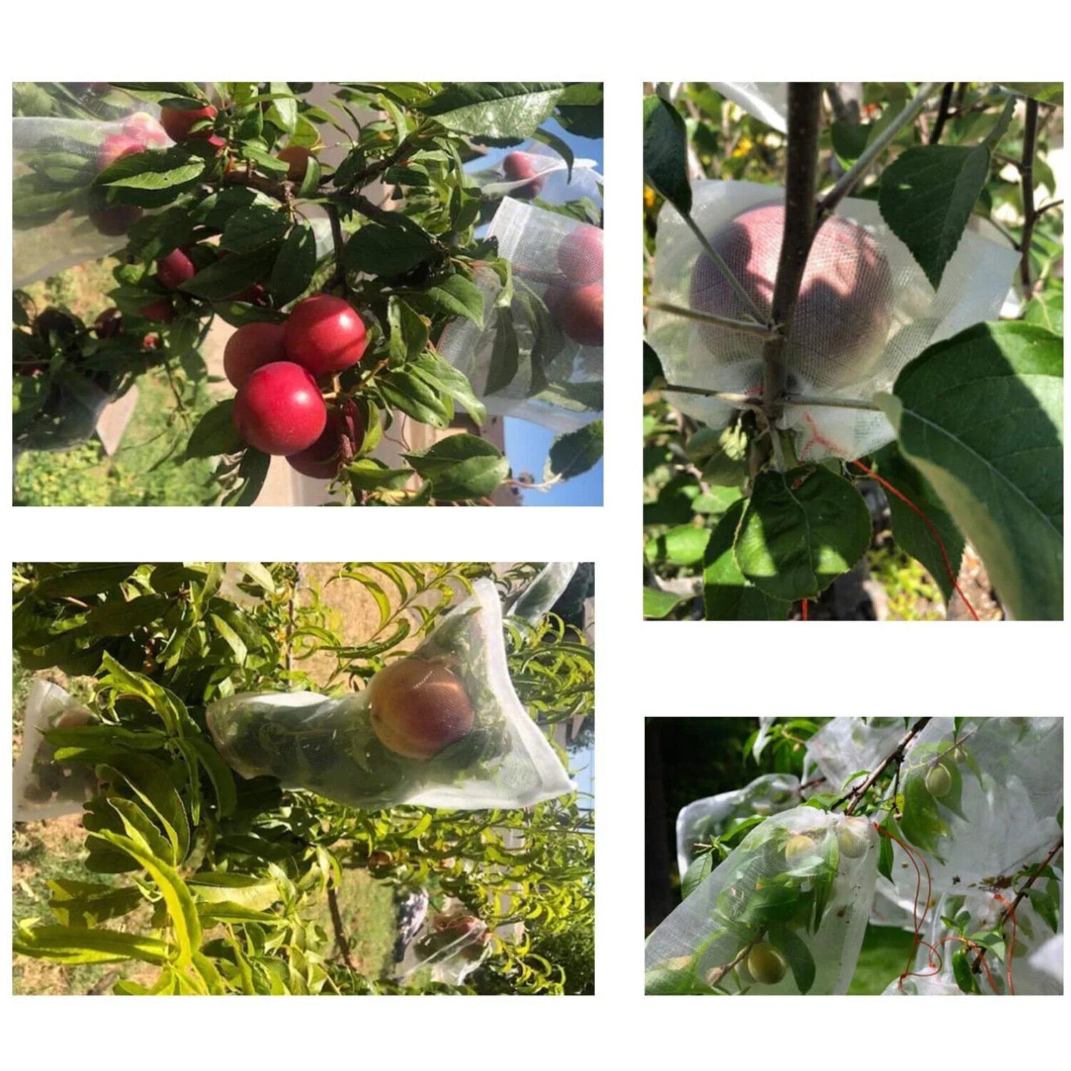 Fruit Protection Net Bags with Drawstring - HarvestNest Seeds